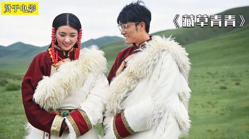 藏草青青,探寻高原生态之美